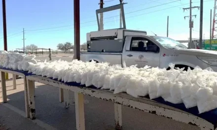 Golpe al narcotráfico: Aseguran 212 kilos de metanfetamina en Sonora y desmantelan centros de producción en Sinaloa