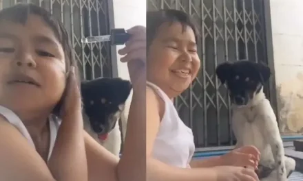 Una pequeña haciendo su rutina de belleza con su perrito conquista las redes (VIDEO)