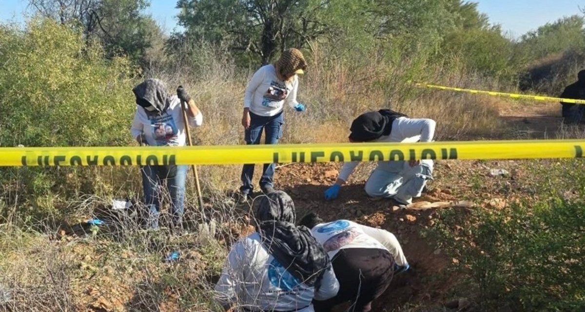 Localizan fosas clandestinas con decenas de restos humanos en  Mexicali