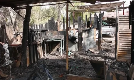 Incendio consume taller mecánico en Monclova