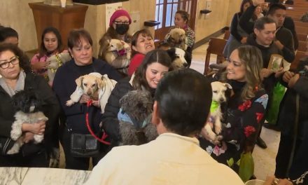 Ofrecerán la misa para animales en San Esteban este 17 de enero
