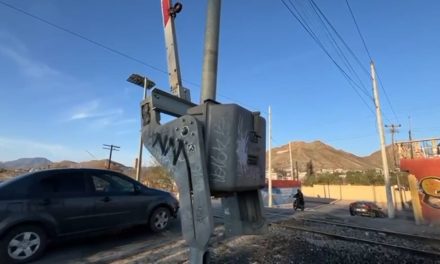 Operador que se atravesó al paso del tren culpa a terceros por no contar con garroteros