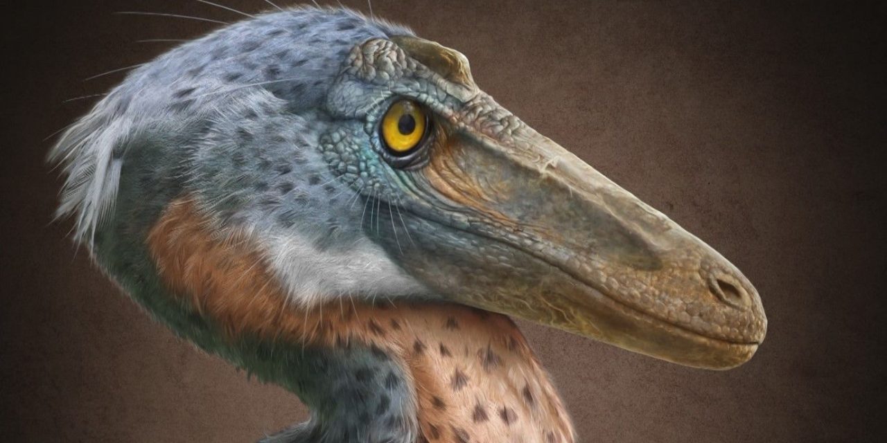 Presentan al ‘Xenovenator espinoso’; nueva especie de dinosaurio