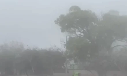 Saldo blanco deja el frente frío 27 en Coahuila