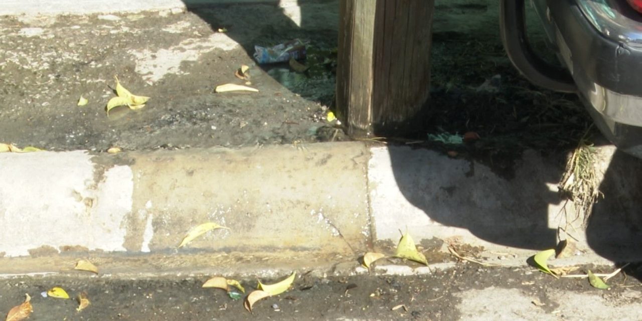 Se fugan cientos de litros de agua en la colonia Nogales II