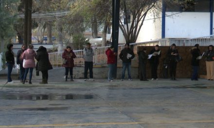 Sigue la dispersión de las tarjetas son de la beca Rita Cetina para estudiantes