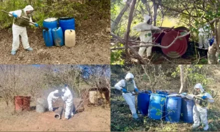 Inhabilitan 19 áreas clandestinas con precursores químicos en Sinaloa