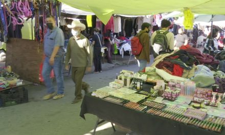 Saltillo: Suspenden actividades en puestos de comida por falta de documentación e insalubres
