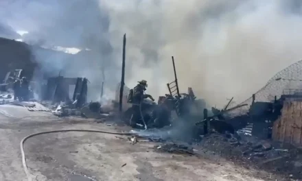 Voraz incendio consume tejabanes en la colonia Diana Laura Riojas.