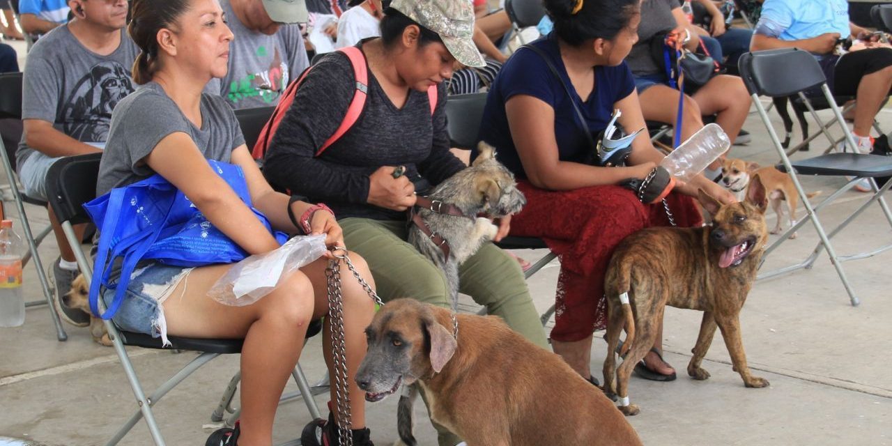 Múzquiz impulsa campaña de esterilización para mascotas