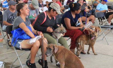 Múzquiz impulsa campaña de esterilización para mascotas