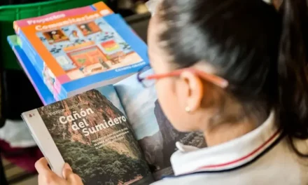 SEP asegura que las mejoras a libros de texto no estarán listas para el próximo ciclo escolar