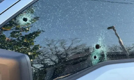 Angélica estaba en el parque con sus dos hijos y quedó atrapada en medio de balacera en Zapopan