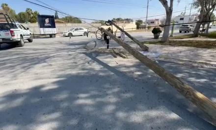 Camioneta derriba varios postes tras perder el control en Valle San Agustín