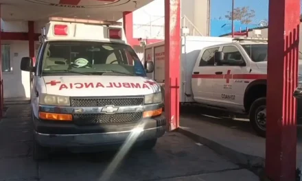 Mujer de 32 años llega inconsciente a un hospital de Parras de la Fuente