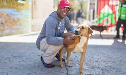 Saltillo: Exjugador de la NFL, Gabe Northern, adopta un perrito