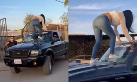 Mujer destroza parabrisas de su novio para evitar que saliera de fiesta (video)