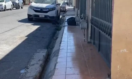 Hasta cinco mil pesos de multa por mantener sucias las banquetas en Saltillo
