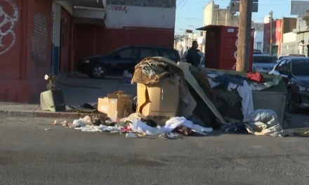 Hasta cinco mil pesos de multa a quien sea sorprendido tirando basura