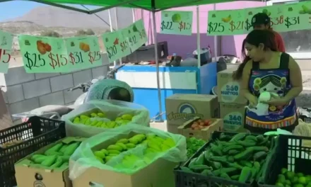 Inicia ARDEC Mercaditos a bajo costo