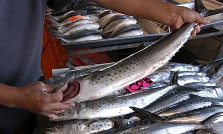 Llama IMSS a procurar higiene y cuidado en la preparación y consumo de mariscos