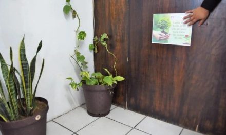 Dirección de Pensiones se suma a las acciones en favor del medio ambiente en Torreón