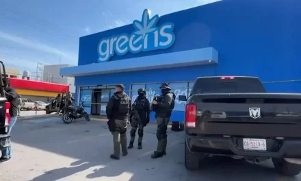 Saltillo: Movilización policiaca en negocio de productos derivados de la marihuana
