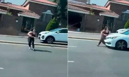 Liberan a conductora tras atropello en Paseo de los Leones