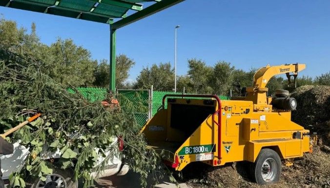 Por concluir la temporada de poda libre en Torreón