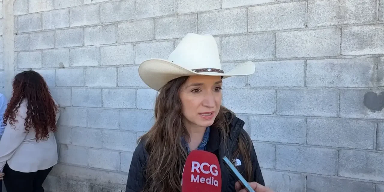 Seguirá Mercadito en tu colonia en Ramos Arizpe
