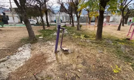 Saltillo: Tazos Dorados hacen de las suyas en la colonia Fundadores