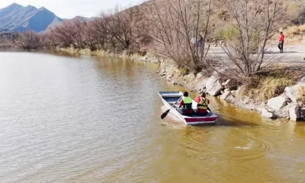Termina operativo de búsqueda de cocodrilo en la presa Palo Blanco