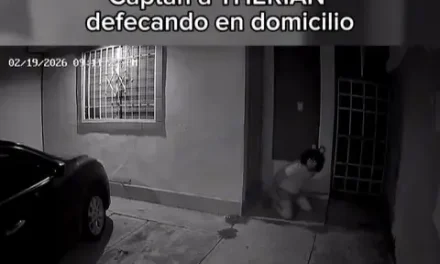 Aparece therian ‘haciendo sus necesidades’ en la puerta de un domicilio