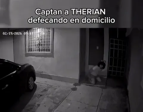 Aparece therian ‘haciendo sus necesidades’ en la puerta de un domicilio