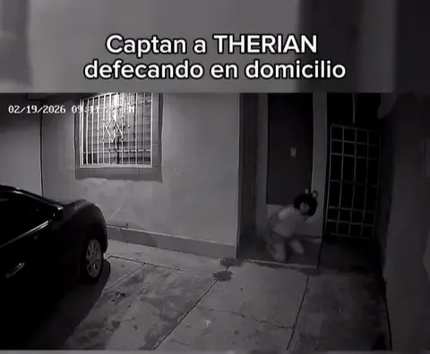Aparece therian ‘haciendo sus necesidades’ en la puerta de un domicilio