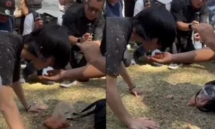 Joven se viraliza por comer croquetas en reunión therian en la UNAM