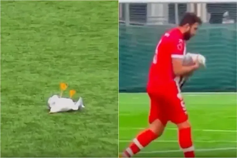 ‘Milagro’ en Turquía… futbolista salva a una gaviota con RCP tras recibir un balonazo en pleno partido