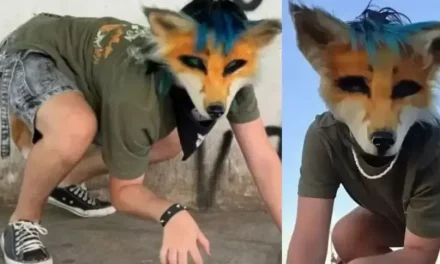 Video: Veterinario de Tijuana se vuelve viral por consultar a un therian… ‘Lo tuve que dormir’