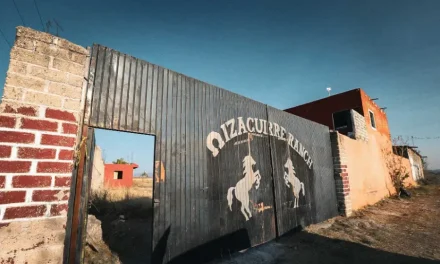 Hallazgo en Rancho Izaguirre obliga a reforzar protocolo de búsqueda de desaparecidos