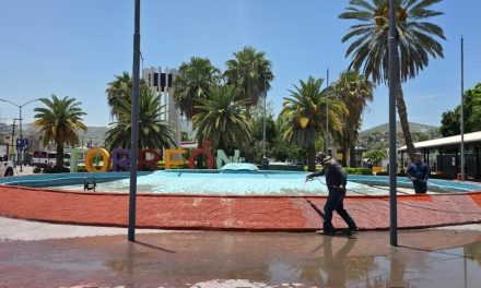 Refuerzan mantenimiento integral de espacios públicos en Torreón