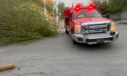 Atiende Protección Civil reportes por tolvaneras en Torreón