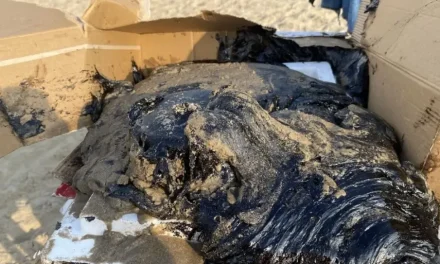Pemex recolecta 128 toneladas de residuos por derrame en Golfo de México