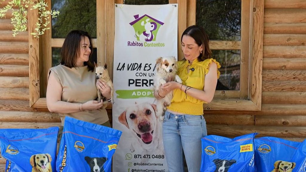 Vero Martínez impulsa ‘Croquetón’ para apoyar a animales
