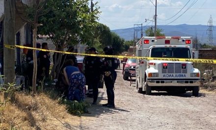 Abejas acaban con la vida de abuelita por picaduras en Guanajuato… bomberos no atendieron su llamado