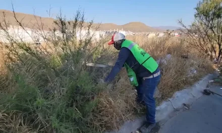 Avanza el programa ‘Colonias al 100’ en el sector Hacienda Narro