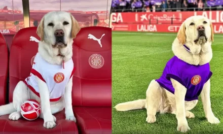 Conoce a Canya, la mascota del Girona FC que reparte amor y apoyo emocional a los jugadores