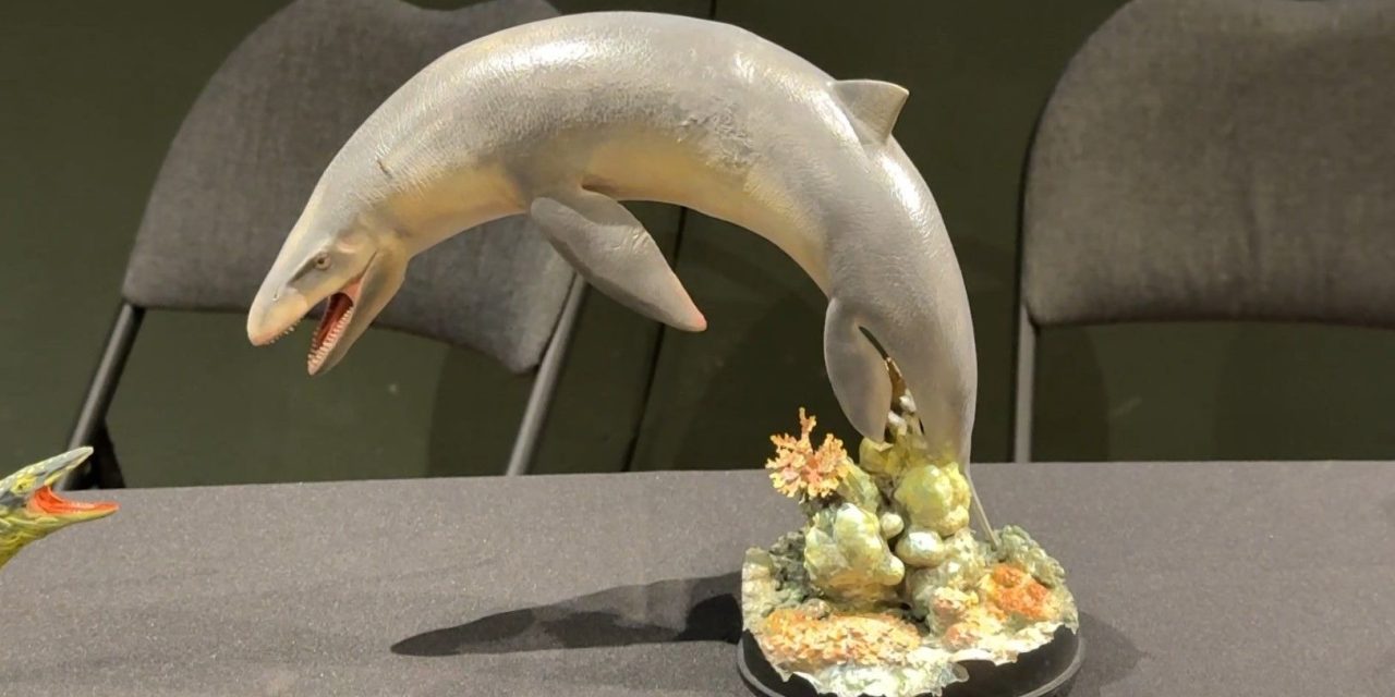 Descubren nueva especie de reptil marino de hace 70 millones de años