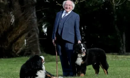 Misneach, el perro que acompaña al presidente irlandés en su vida pública