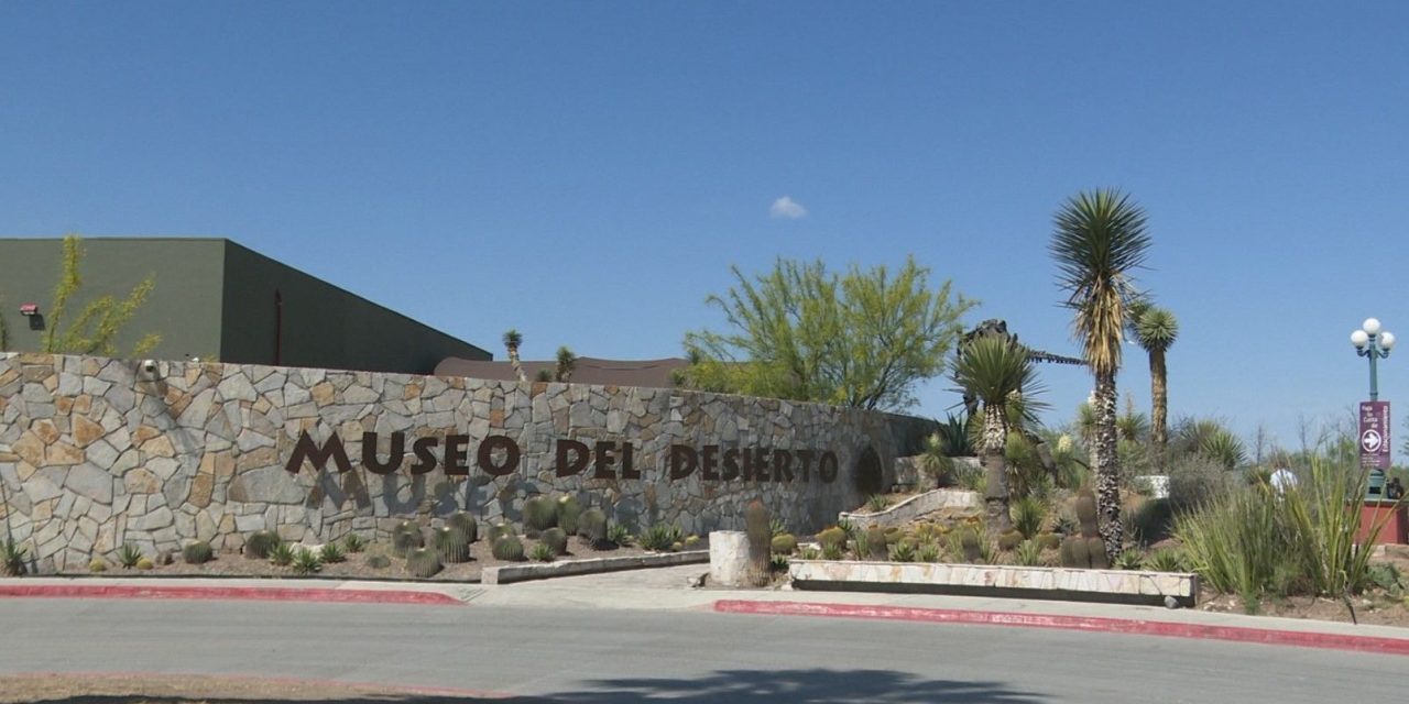 Esperan más de 40 mil visitantes el Museo del Desierto