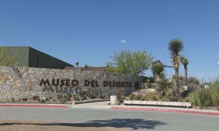 Esperan más de 40 mil visitantes el Museo del Desierto